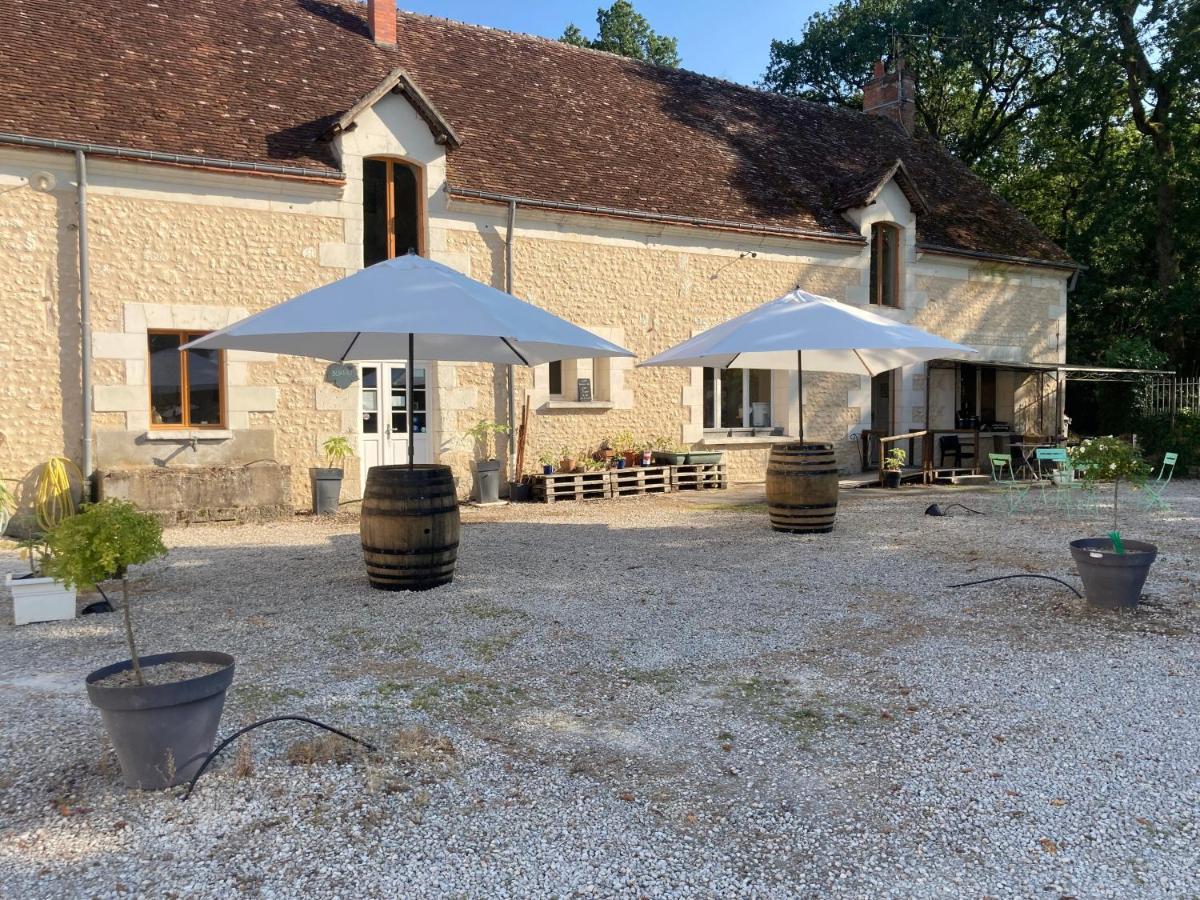 Les Pierres D'aurèle Chambres d'Hôtes Saint-Georges-sur-Cher Esterno foto