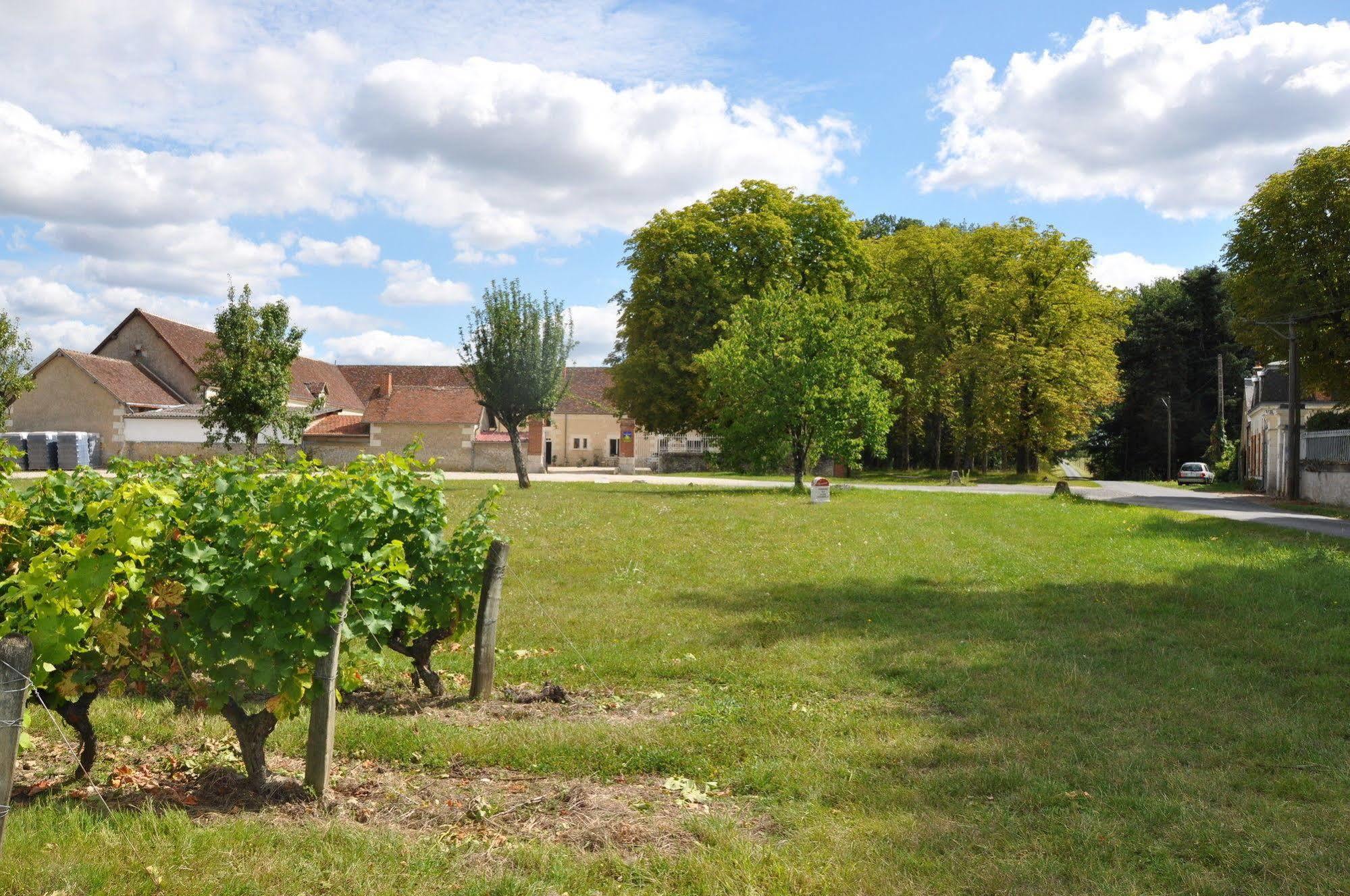 Les Pierres D'aurèle Chambres d'Hôtes Saint-Georges-sur-Cher Esterno foto