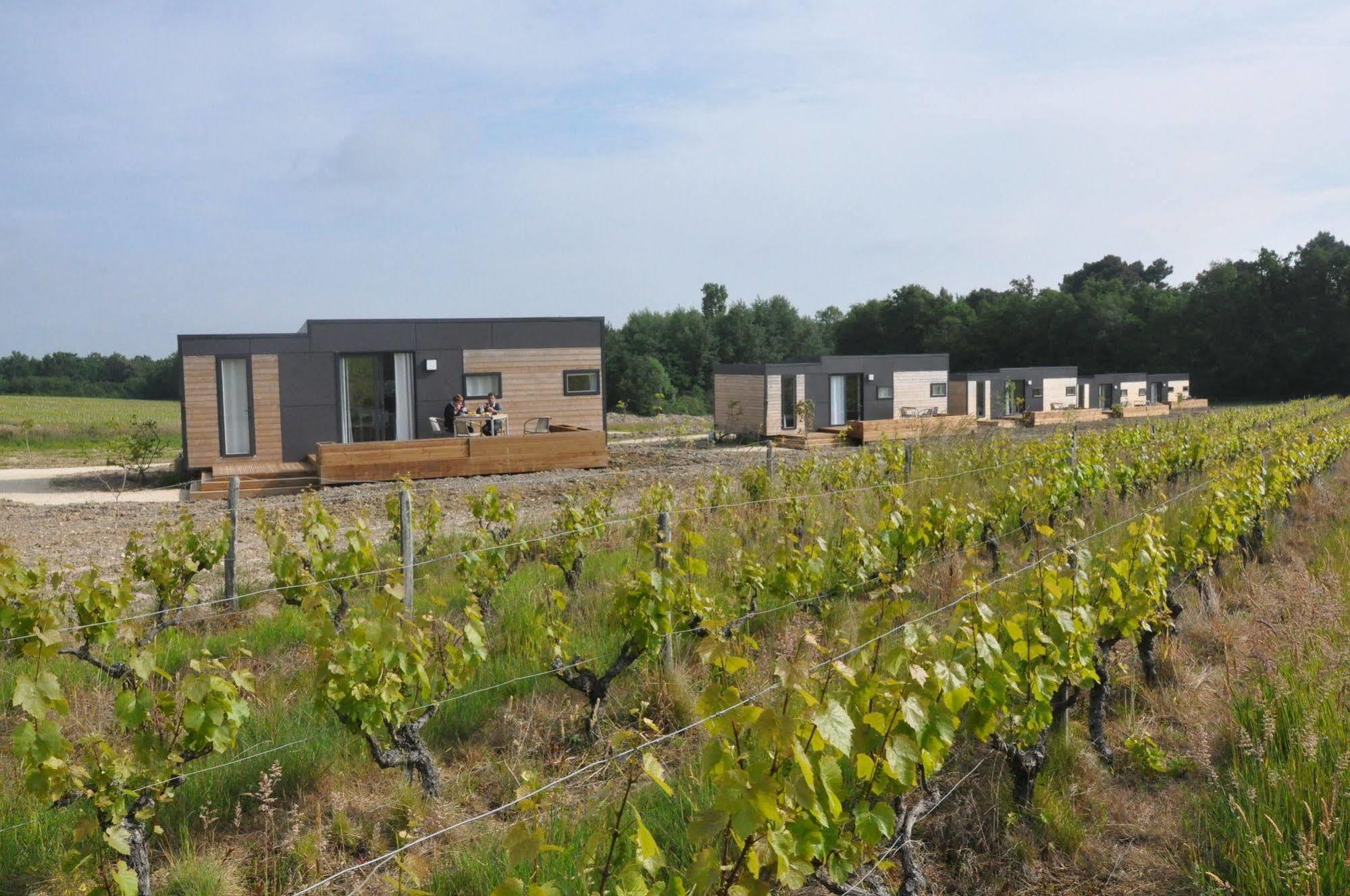 Les Pierres D'aurèle Chambres d'Hôtes Saint-Georges-sur-Cher Esterno foto